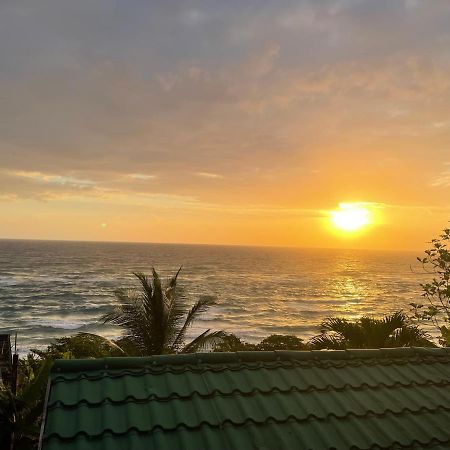 Villa Rasta - Ocean View Bungalows Port Antonio Dış mekan fotoğraf