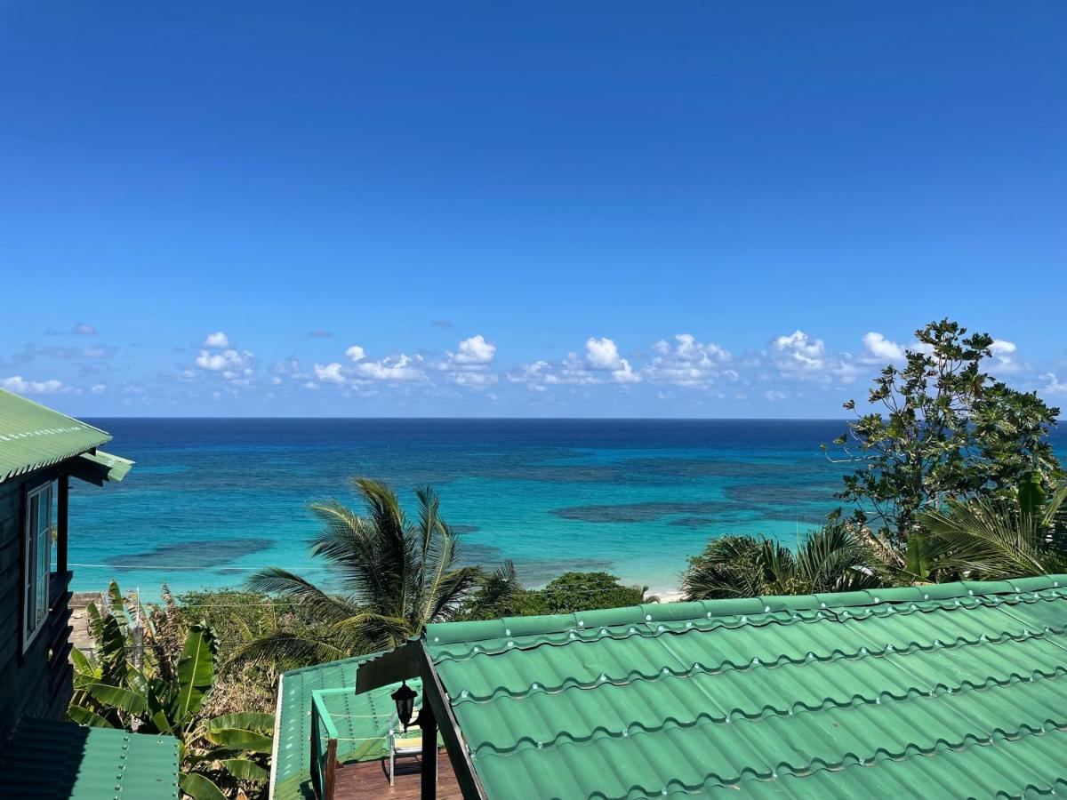 Villa Rasta - Ocean View Bungalows Port Antonio Dış mekan fotoğraf