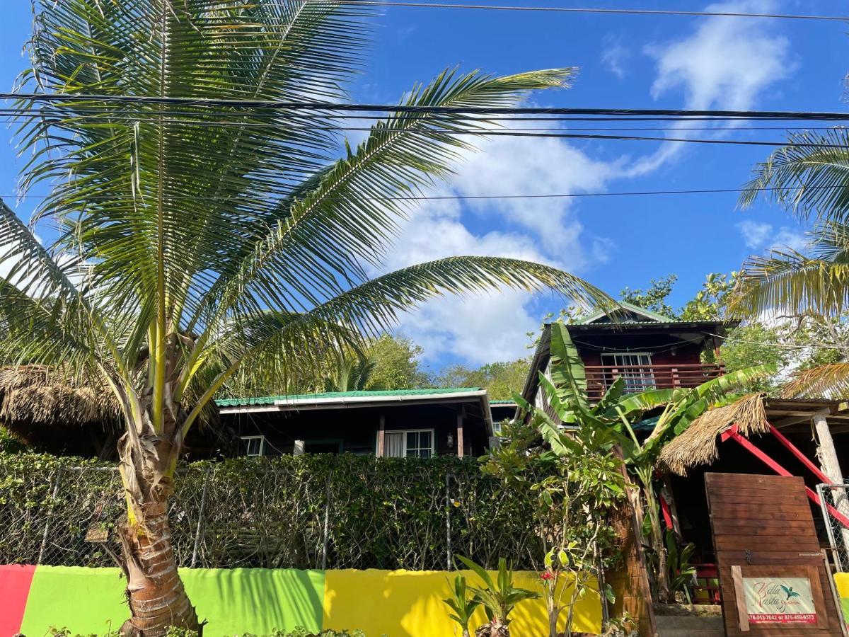 Villa Rasta - Ocean View Bungalows Port Antonio Dış mekan fotoğraf